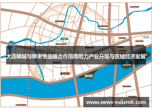 大连鲲城与穆谢奎战略合作指南助力产业升级与区域经济发展