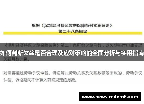 如何判断欠薪是否合理及应对策略的全面分析与实用指南
