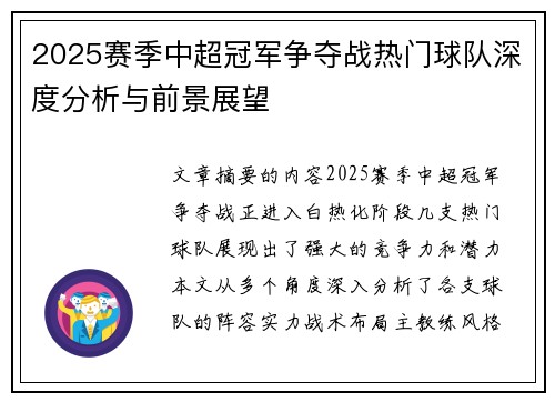 2025赛季中超冠军争夺战热门球队深度分析与前景展望
