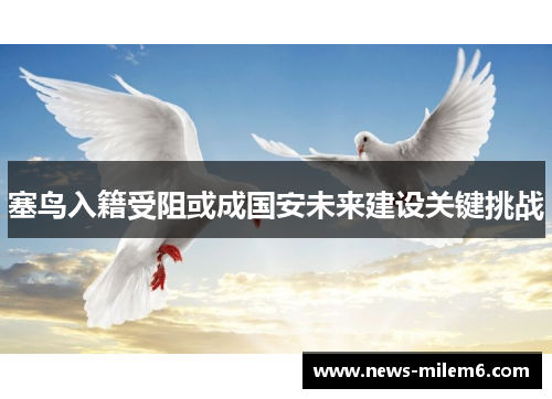 塞鸟入籍受阻或成国安未来建设关键挑战