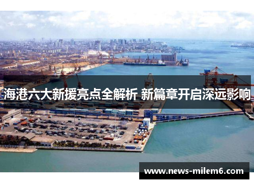 海港六大新援亮点全解析 新篇章开启深远影响