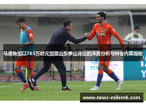 马德鲁加以765万欧元加盟山东泰山背后的深度分析与转会内幕揭秘