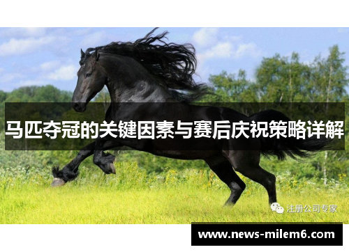 马匹夺冠的关键因素与赛后庆祝策略详解